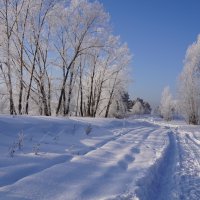 Снежная дорога :: Наталия Григорьева