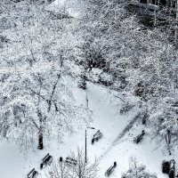 Снег... :: Анатолий Колосов