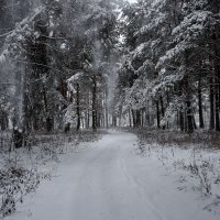 Зима... :: Зинаида Манушкина