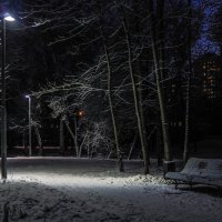 Прогулки в Зимнем Парке :: юрий поляков