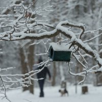 *** :: Владимир Безбородов