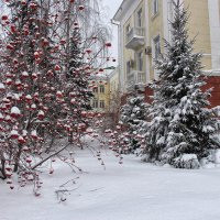 Зима в городе :: Nina Karyuk