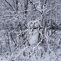 Радуюсь снегу, как ребенок :: Андрей Лукьянов
