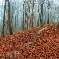 Осень... :: Юрий Гординский