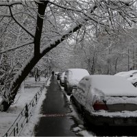 Снегопад... :: ZNatasha -
