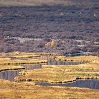 Зигзаги Куркурека. :: Ник Васильев