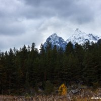 Махарское ущелье :: Александр Богатырёв