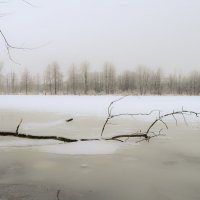 Грустное утро :: Андрей Зайцев