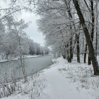 Царство снега :: Милешкин Владимир Алексеевич 