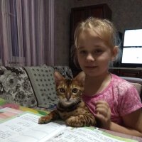 Учёный кот :: Ильина Валентина Николаевна 