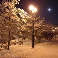 Наконец-то зиму дождались?.. :: Михаил Андреев