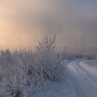 Зимник :: Евгений Герасименко