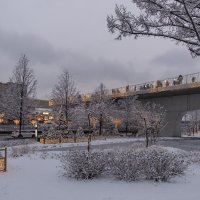 Новогодняя Москва. Зарядье. :: Надежда Лаптева