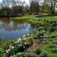 Planten un Blomen Hamburg :: Nina Yudicheva