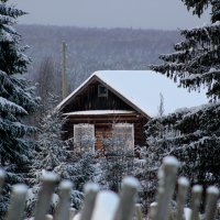 Хорошо в деревне в любое время :: Любовь Чащухина