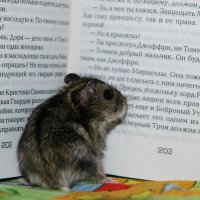 ...до чего люблю я книжки... :: Валентина 