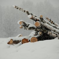 Снегопад. :: Елена Калашникова 