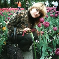 тюльпановый рай :: анна харламенко 
