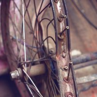 broken wheel bike in India :: Анастасия Кононенко