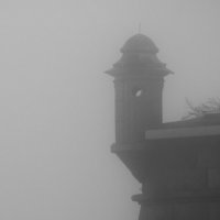 человек в тумане :: Сергей Комолов