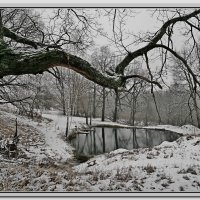 Живой источник. :: Евгений Чернявский