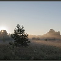 Солнечное утро, легкий туман 1 :: Jossif Braschinsky