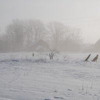 Зимний туман. :: Елена Калашникова 