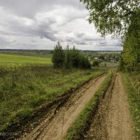 Родные просторы :: Андрей Мирошниченко