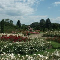 Ботанический сад :: Виктория Козлова