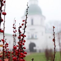Туманный Новгород. :: Ольга Шеремет