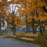 Осень в парке :: Serge Riazanov