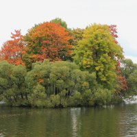 Осенний букет :: валерия 