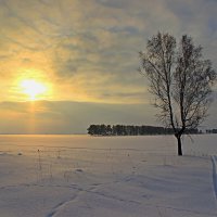 Мороз, солнце. :: Сергей 