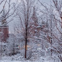 Новогодняя Москва. Зарядье. :: Надежда Лаптева