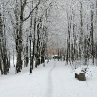 Во власти снега. :: Милешкин Владимир Алексеевич 