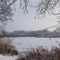 Зимние картинки :: Маргарита Батырева