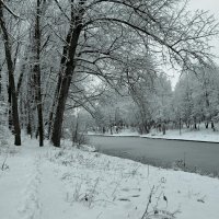 Городской парк :: Милешкин Владимир Алексеевич 