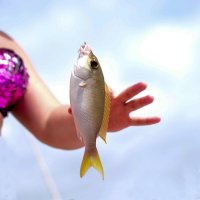 Ловись, рыбка, и большая и маленькая! :: Dmitry i Mary S