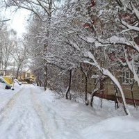 Зимой снежной :: Елена Семигина