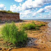 Берег реки Ветлуги. :: Анастасия Самигуллина