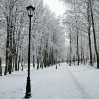 Городской парк :: Милешкин Владимир Алексеевич 