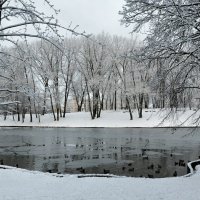 Январь в городском парке :: Милешкин Владимир Алексеевич 