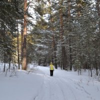 Тропа в зимний,сказочный сосновый бор. :: Андрей Хлопонин