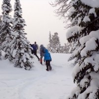 Путешествие в зимнюю сказку.В путь ...! :: Любовь Иванова