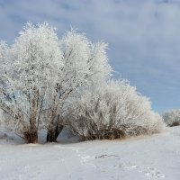 === :: Татьяна Котельникова