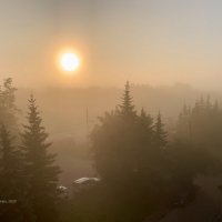 Туман в городе :: Александр Синдерёв