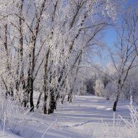 Зимняя красота :: Наталия Григорьева