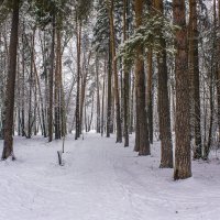 в парке :: Петр Беляков