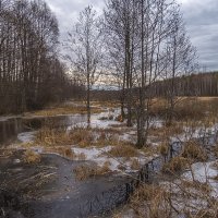 Ручей Ольховка :: Сергей Цветков