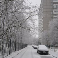 Замело дорогу снегом :: Дмитрий Никитин